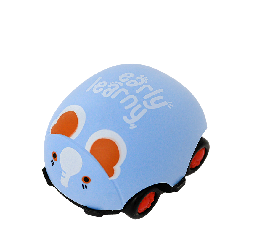 21 st Month Educational Set - Vehicles