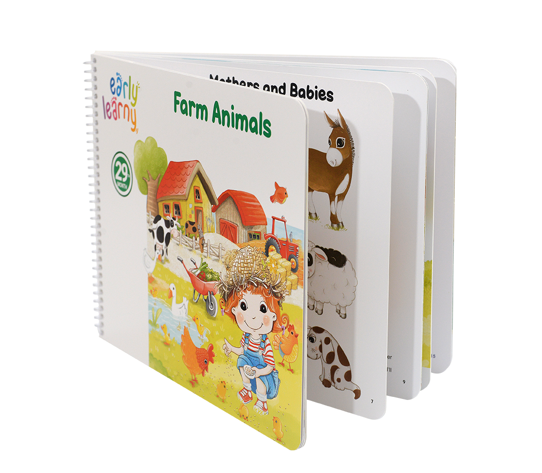 29 th Month Educational Set - Farm Animals