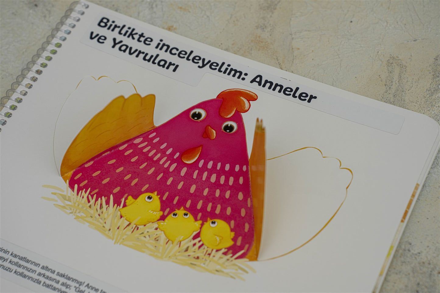 EARLYLEARNY TÜRKÇE 29. AY EĞİTİM SETİ