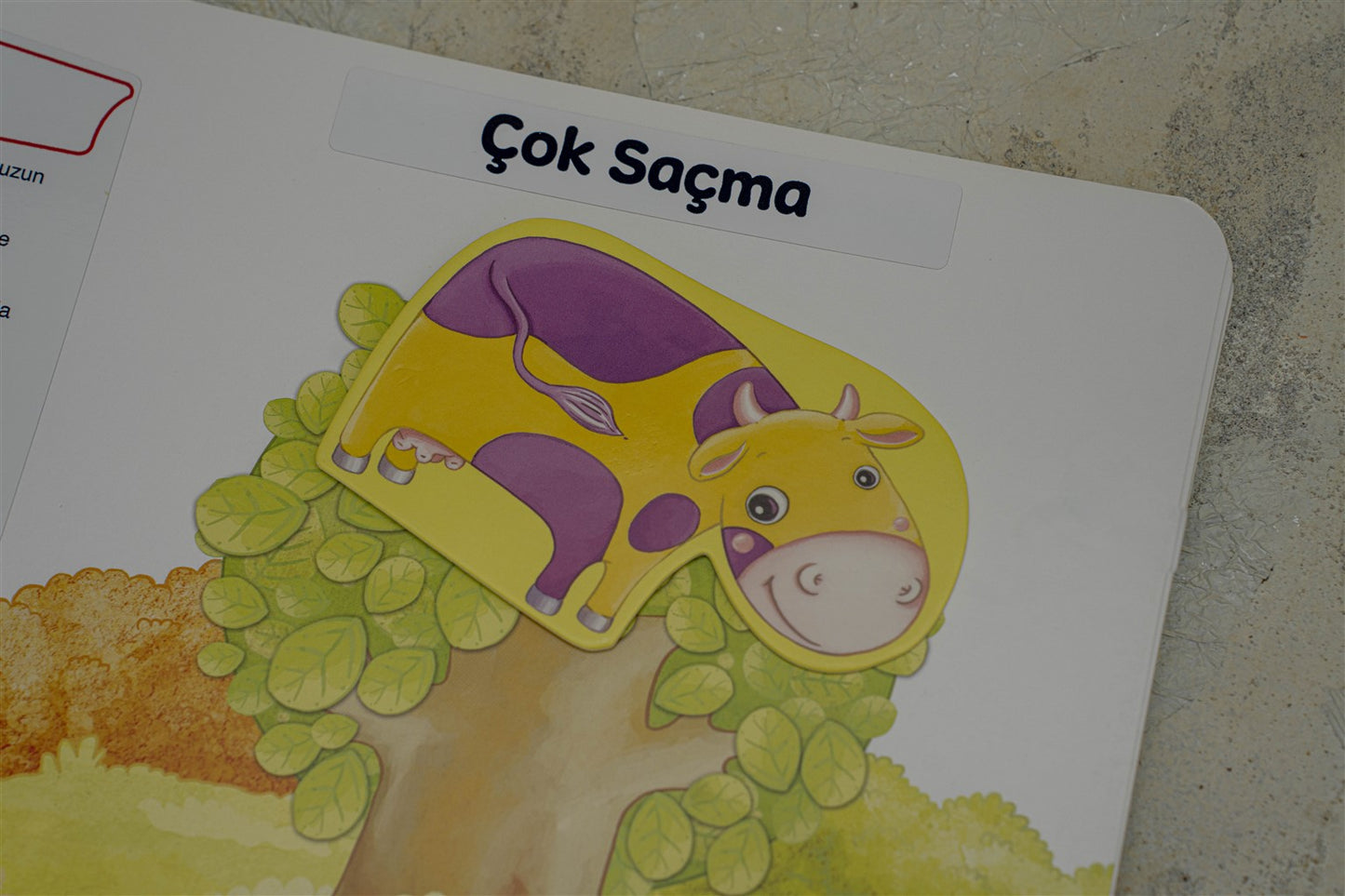 EARLYLEARNY TÜRKÇE 29. AY EĞİTİM SETİ