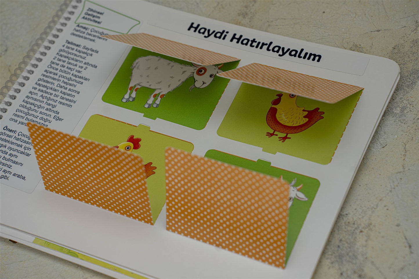 EARLYLEARNY TÜRKÇE 29. AY EĞİTİM SETİ