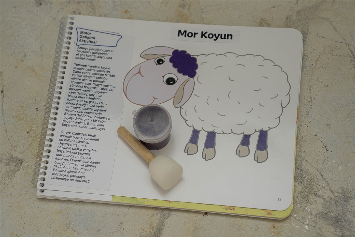 EARLYLEARNY TÜRKÇE 29. AY EĞİTİM SETİ