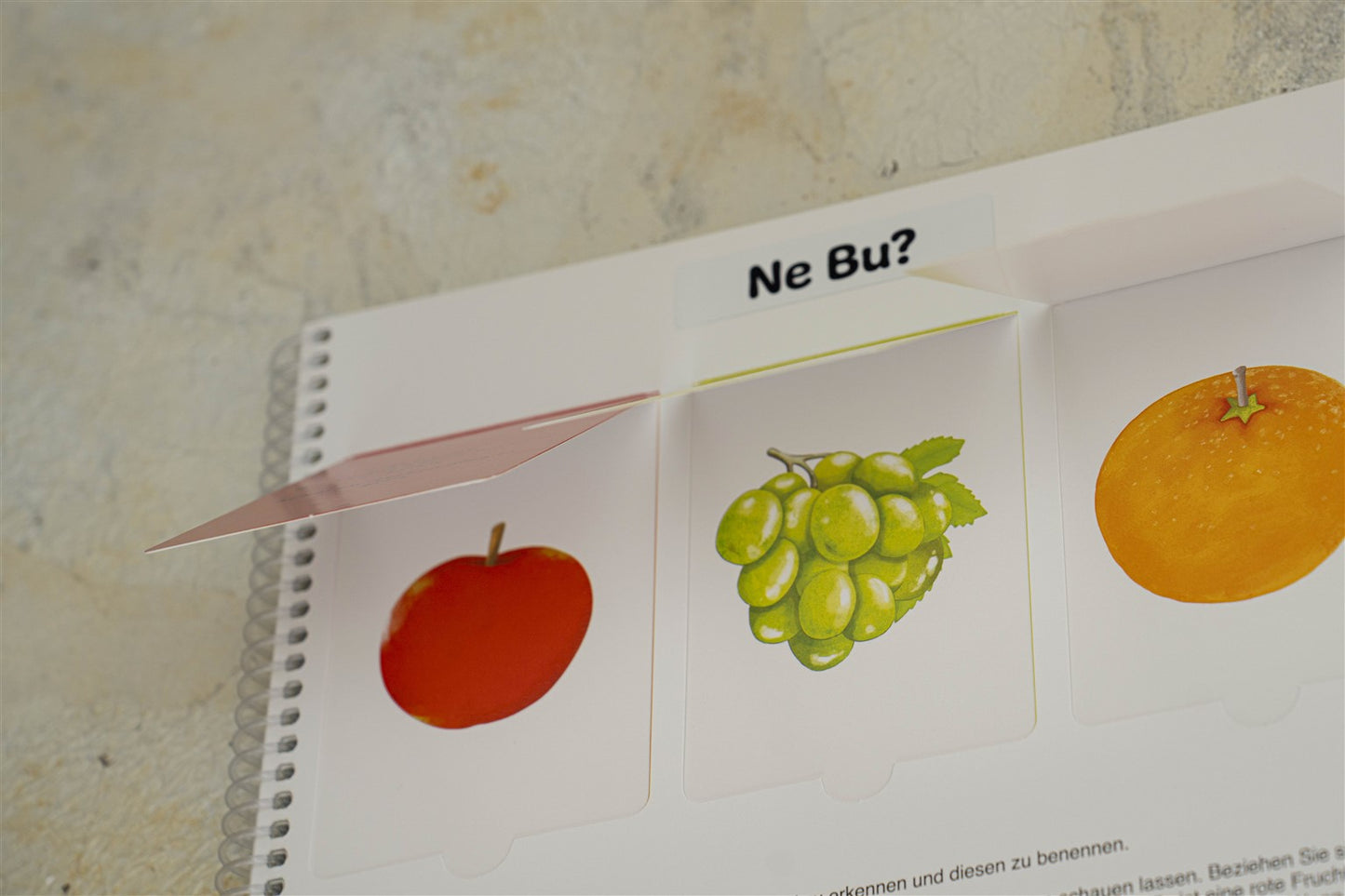 EARLYLEARNY TÜRKÇE 32. AY EĞİTİM SETİ