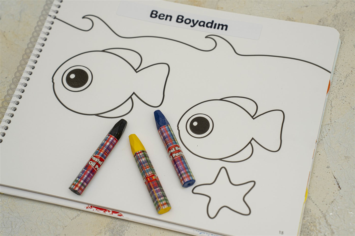 EARLYLEARNY TÜRKÇE 32. AY EĞİTİM SETİ