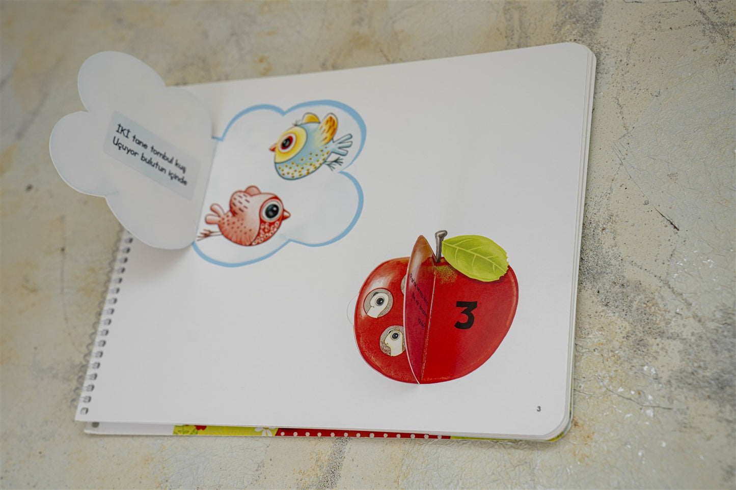 EARLYLEARNY TÜRKÇE 35. AY EĞİTİM SETİ