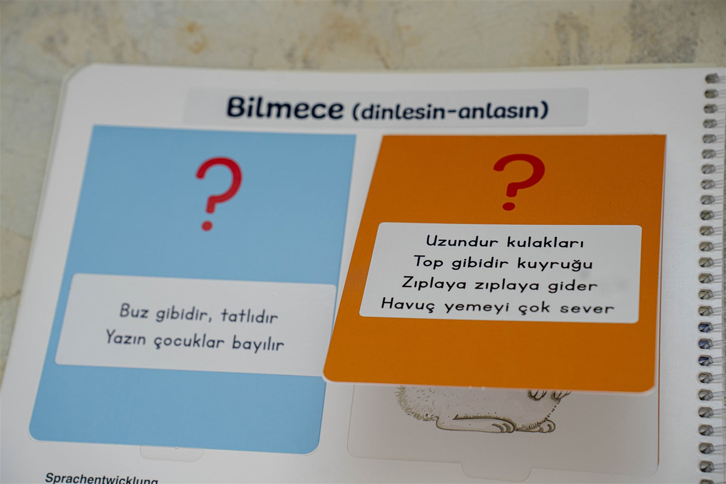 EARLYLEARNY TÜRKÇE 36. AY EĞİTİM SETİ