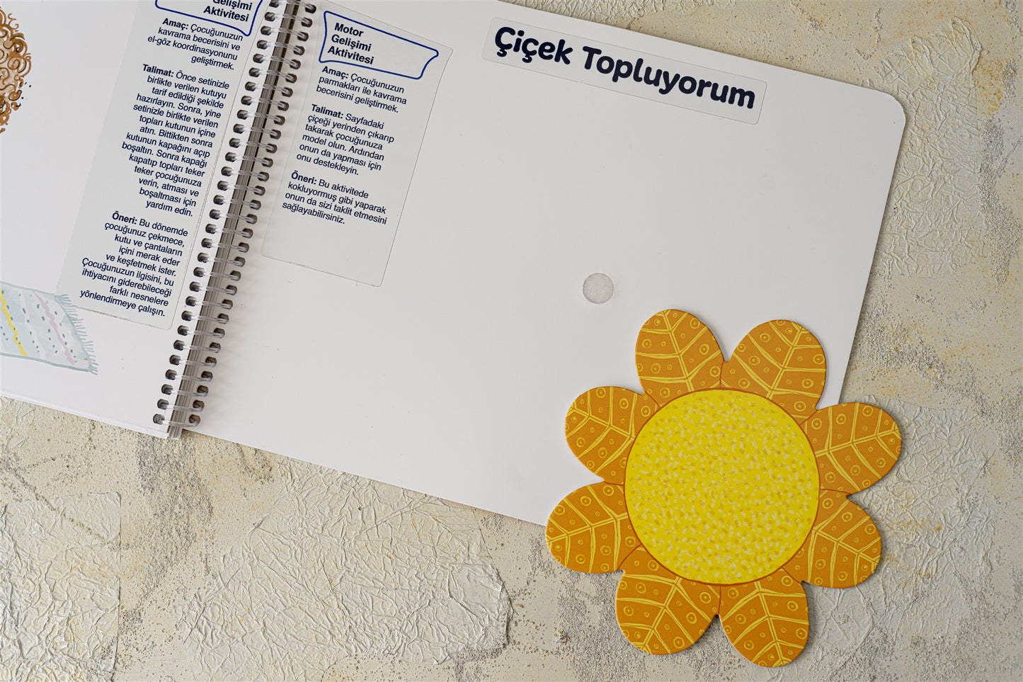 EARLYLEARNY TÜRKÇE 09. AY EĞİTİM SETİ