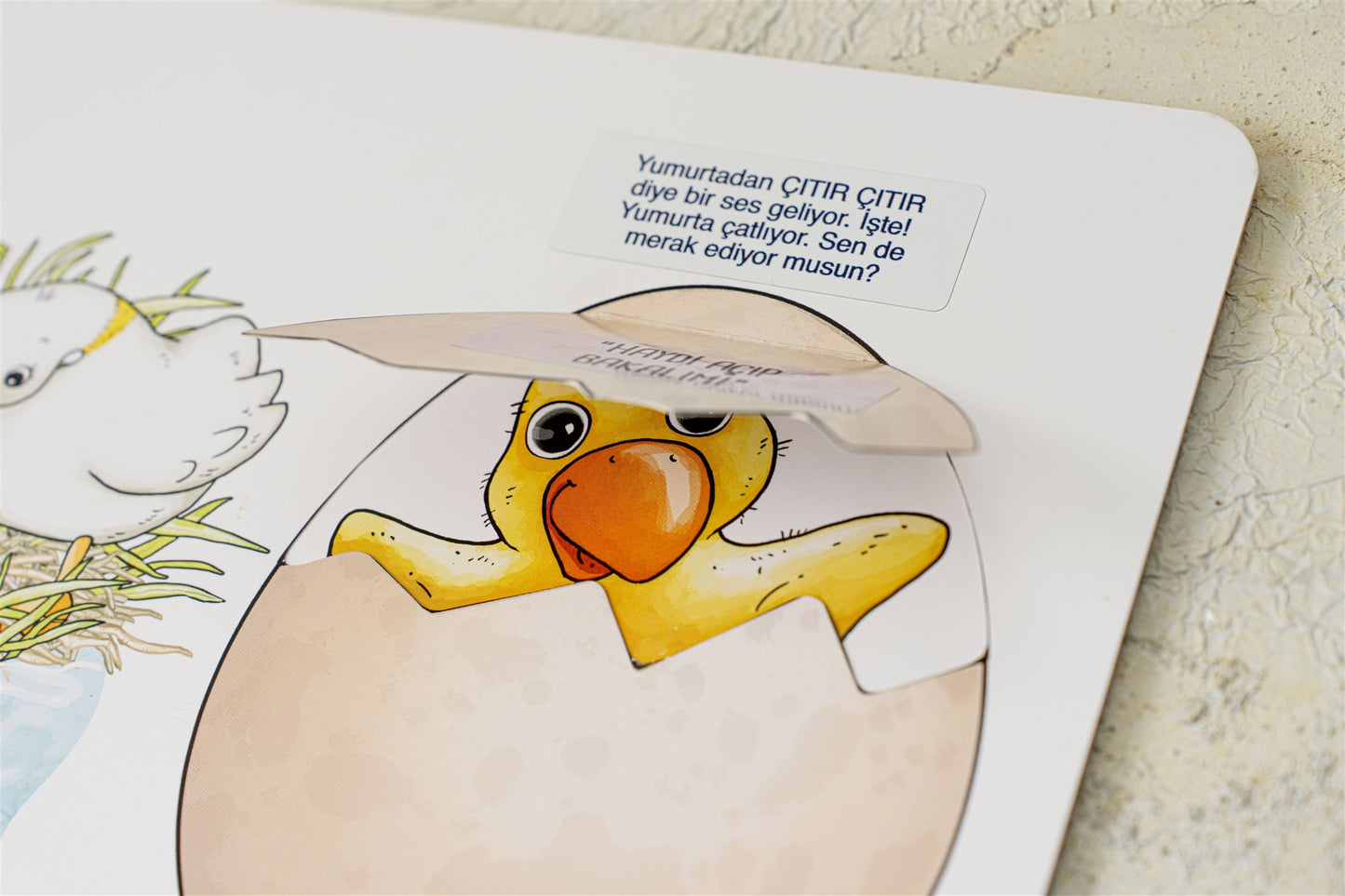 EARLYLEARNY TÜRKÇE 13. AY EĞİTİM SETİ
