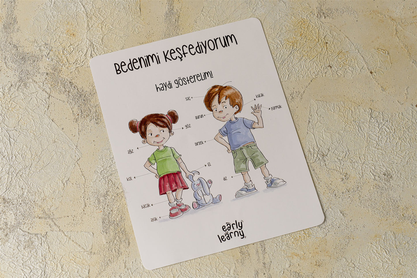 EARLYLEARNY TÜRKÇE 19. AY EĞİTİM SETİ