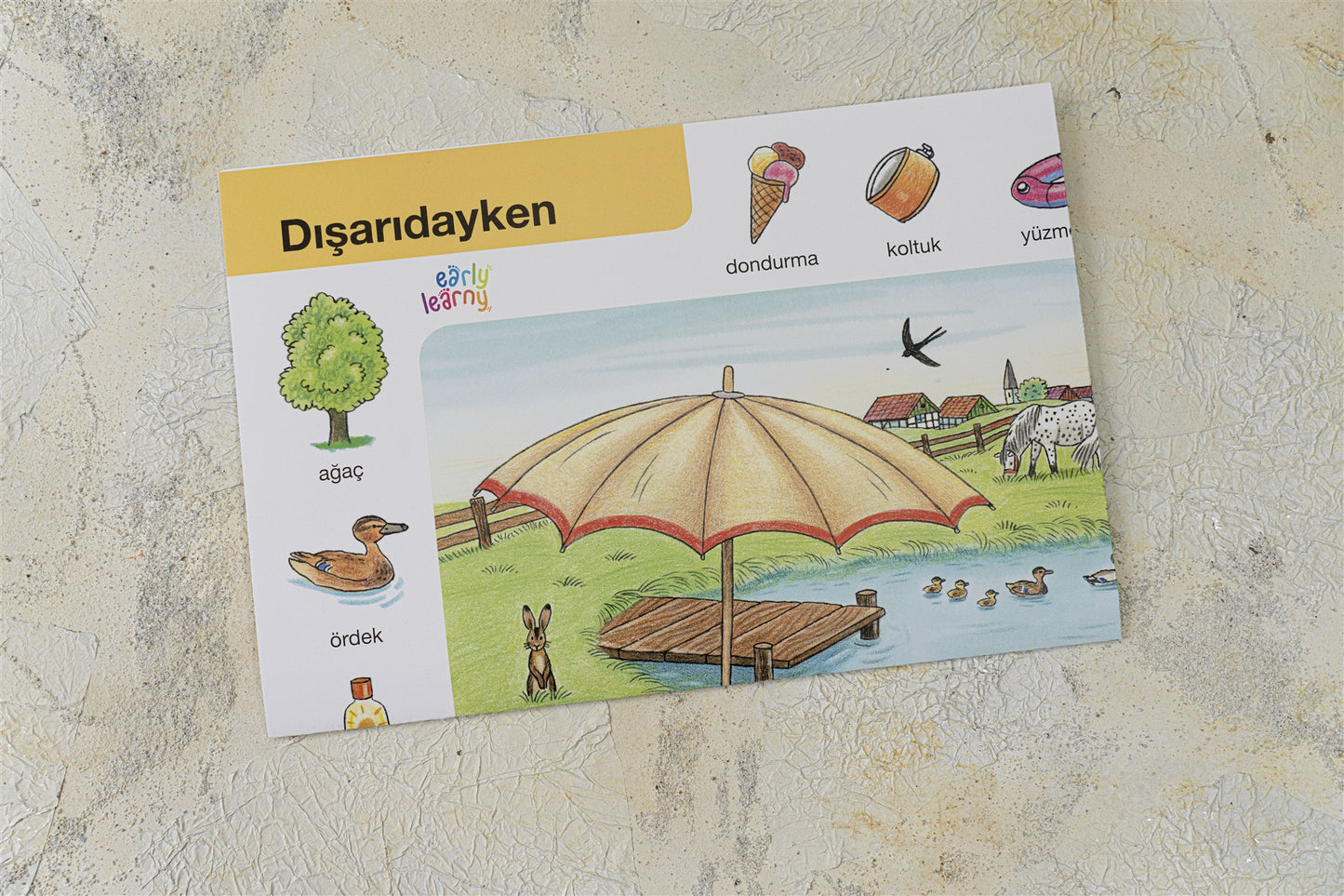 EARLYLEARNY TÜRKÇE 22. AY EĞİTİM SETİ
