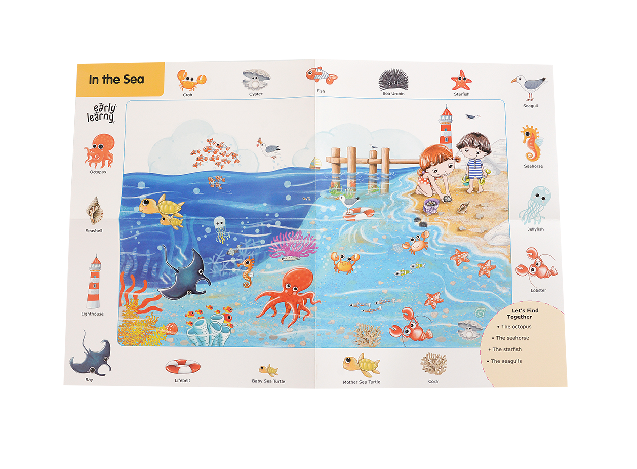 31 st Month Educational Set - Summer & Winter