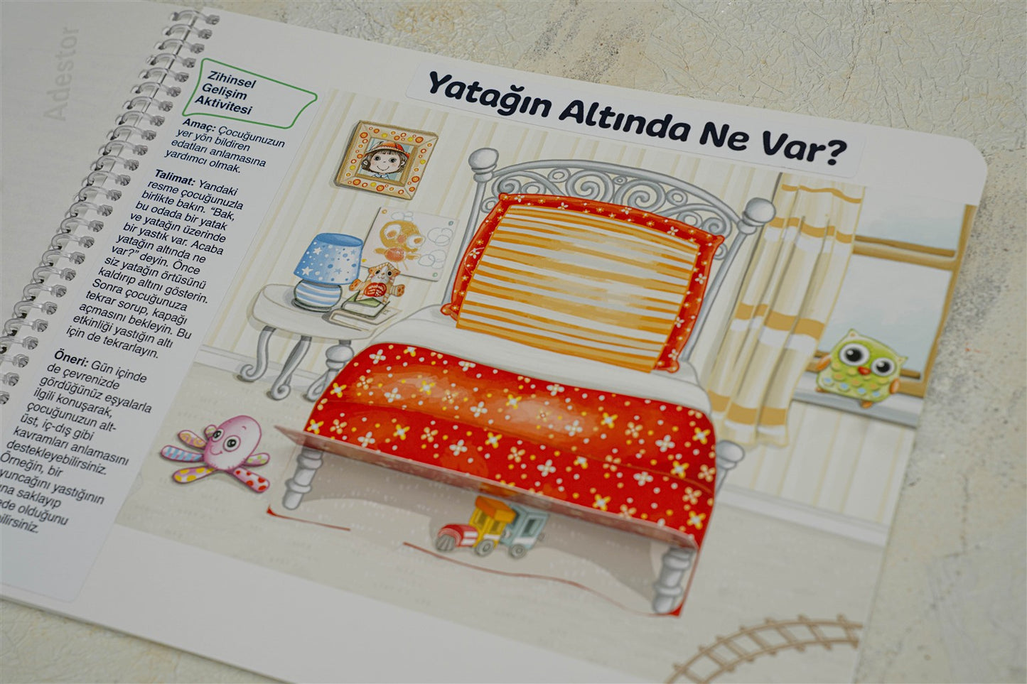 EARLYLEARNY TÜRKÇE 25. AY EĞİTİM SETİ