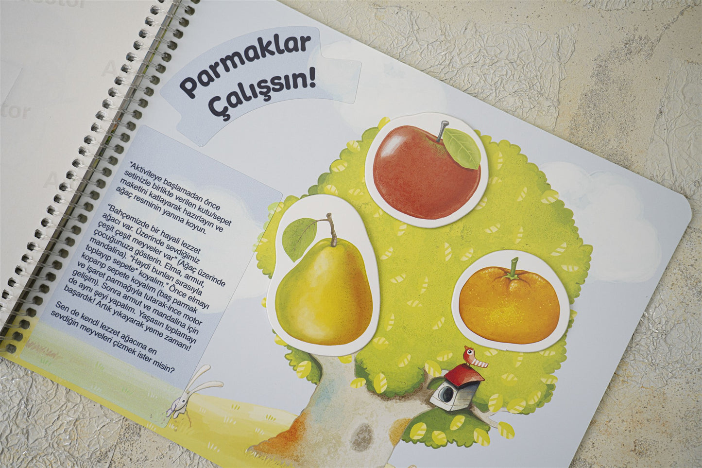 EARLYLEARNY TÜRKÇE 22. AY EĞİTİM SETİ