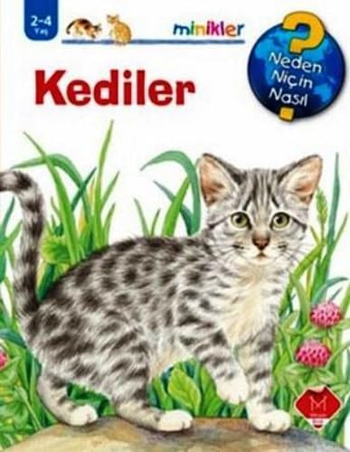 Kediler (2-4 Yaş)